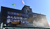 　近本の七夕の願い事は「みんなが笑って過ごせますように」（撮影・中田匡峻）