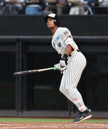 日本ハム・万波が驚弾１３号ソロ　弾丸ライナーで左翼２階席へ　６戦４発量産態勢