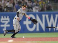　７回、オスナの折れたバットに影響され、左前打とした佐藤輝（撮影・西岡正）