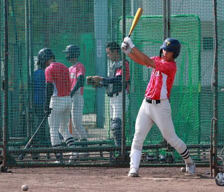 　打撃練習で快音を響かせる大社・馬庭（撮影・石湯恒介）