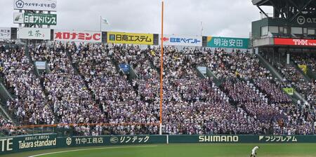 大社の大応援に飲み込まれそうな神村学園　伝令役が先輩エースの背中をボンボンたたく