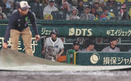 　中断となるグラウンドを見つめる阿部監督（撮影・中田匡峻）