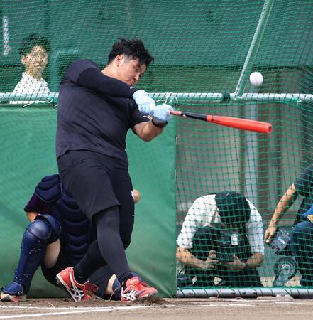 　打撃練習する佐々木麟太郎（撮影・金田祐二）