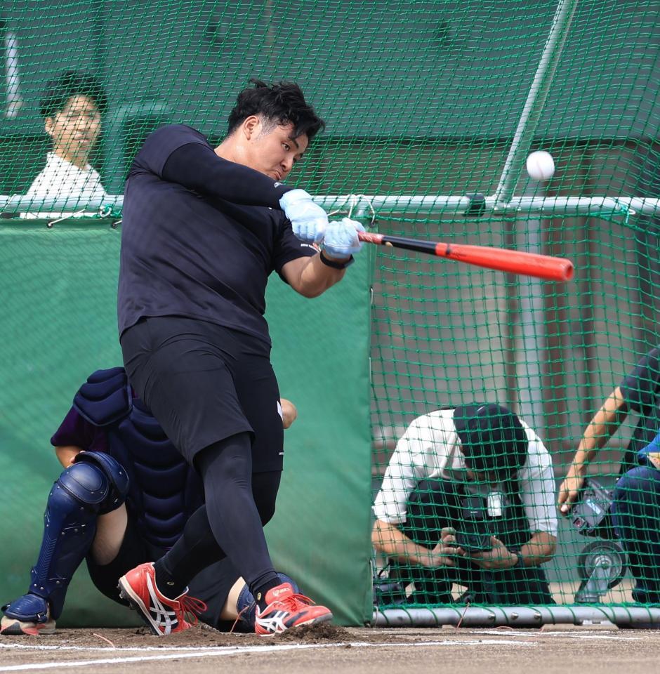 　打撃練習する佐々木麟太郎（撮影・金田祐二）