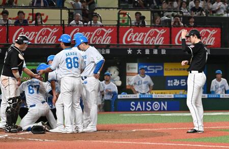 　７回、野村大（６７）の頭部に死球を与えた佐々木（右端）。危険球退場となった