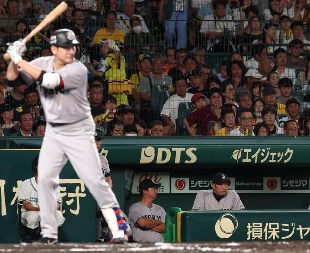 巨人・阿部監督の采配に甲子園驚きの声