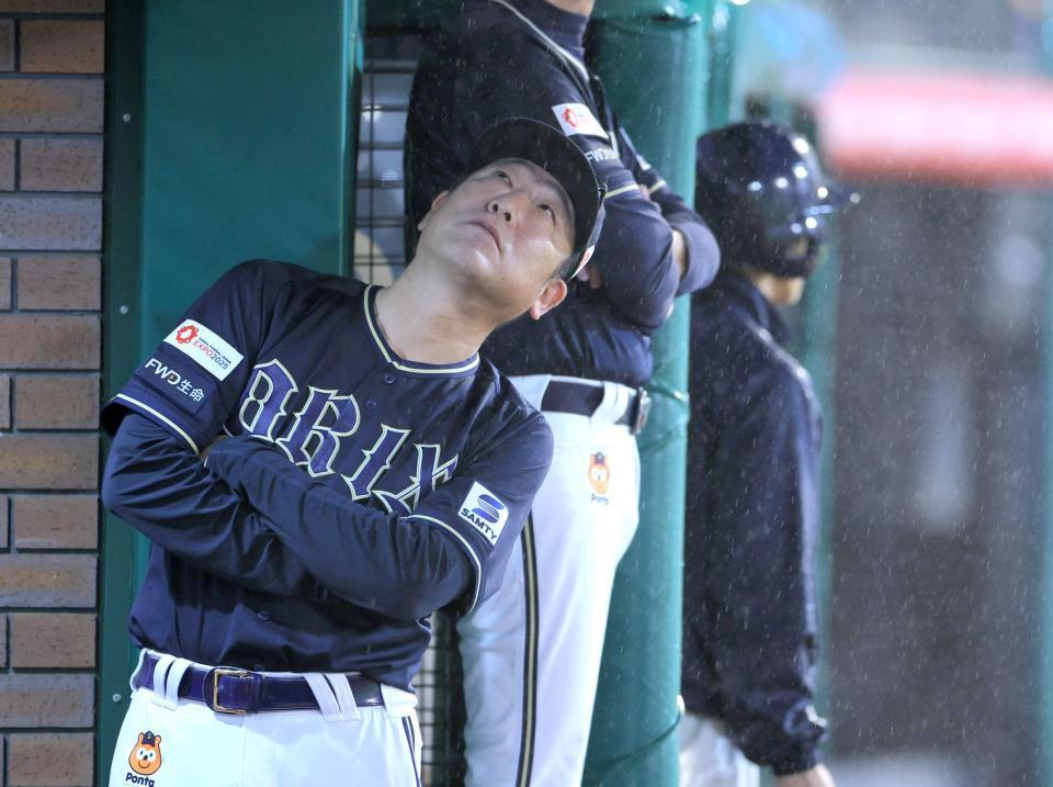 　ベンチから顔を出し、雨を見つめる中嶋監督（撮影・吉澤敬太）