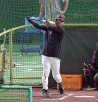 　試合前、フリー打撃をする吉川（撮影・伊藤笙子）