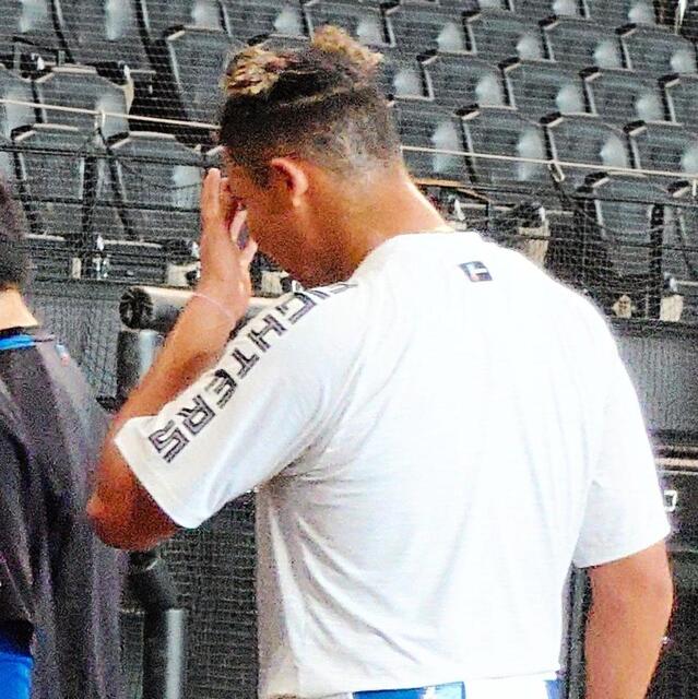 日本ハム ミッキーマウス？水谷が奇抜ヘアで登場「お団子ツインです