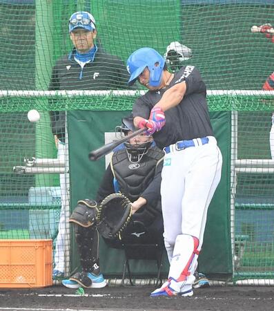 　フリー打撃で快音を響かせる野村。左後方は八木コーチ（撮影・開出牧）
