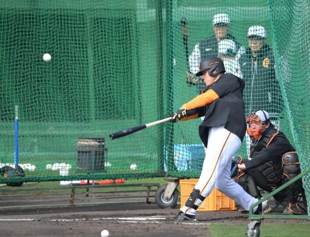 　キャンプ初の屋外でフリー打撃を行った岡本（撮影・伊藤笙子）