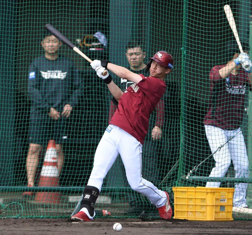 　フリー打撃をする辰己（撮影・佐々木彰尚）