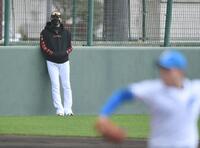 　２軍キャンプで紅白戦を視察する新庄監督（後方）＝撮影・開出牧