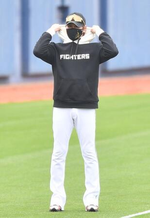 　練習を見ながらパーカのフードを広げ、身だしなみを整える新庄監督（撮影・開出牧）