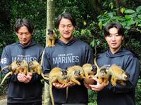 　新人選手がキャンプ休日に「やいま村」を訪問。リスザルに餌やりする（左から）立松、西川、宮崎