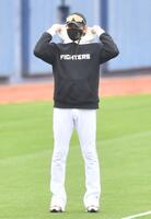 　練習を見ながらパーカのフードを広げ、身だしなみを整える新庄監督（撮影・開出牧）