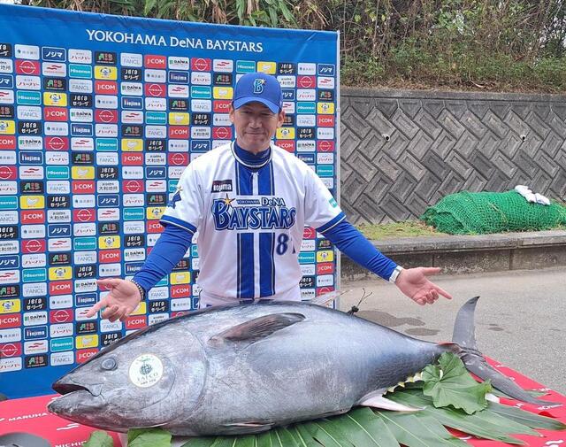 151センチ巨大マグロ！DeNA三浦監督「これを食べてリーグ優勝