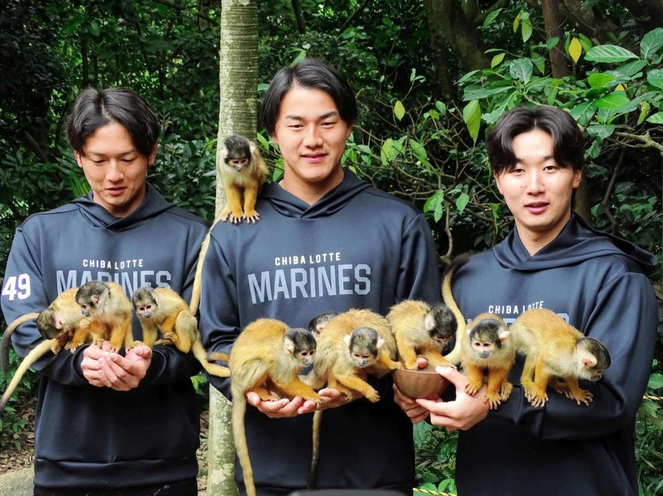 　新人選手がキャンプ休日に「やいま村」を訪問。リスザルに餌やりする（左から）立松、西川、宮崎