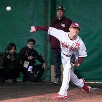 　岸のユニホームを着てブルペンで投球練習する辰己。後方右は石井ＧＭ