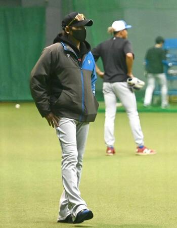 　室内で練習を見守る新庄監督。後方は水谷（撮影・開出牧）
