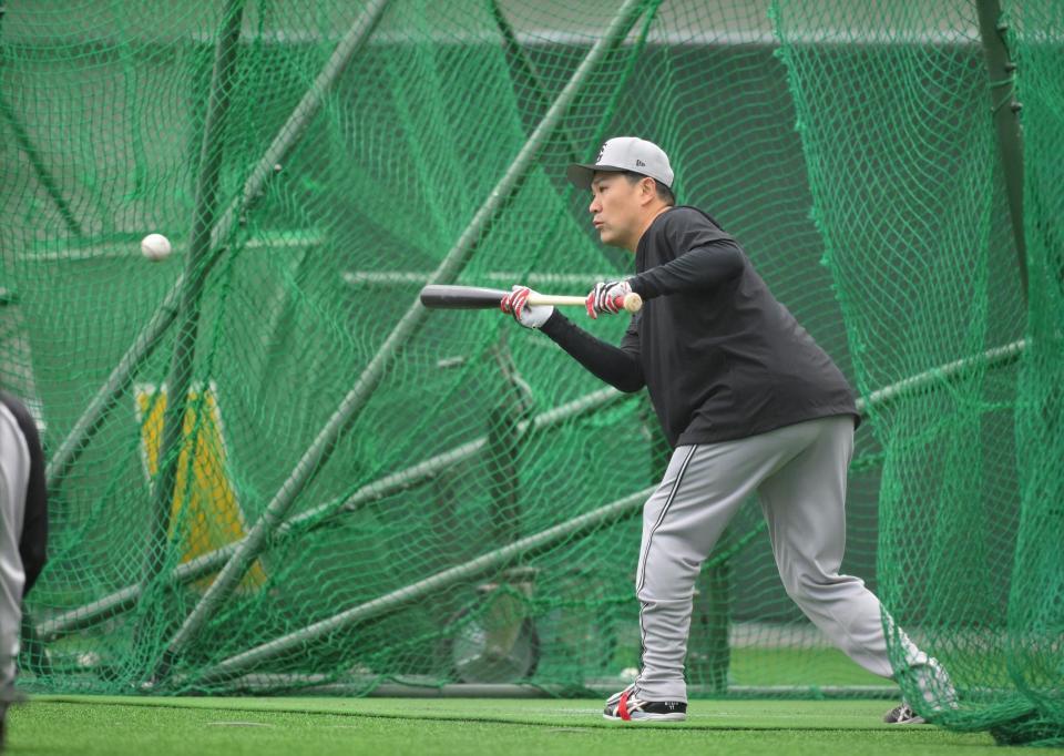 　バント練習をする田中将（撮影・伊藤笙子）