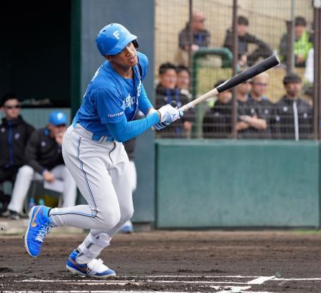 日本ハム万波、2安打の活躍 楽天との練習試合