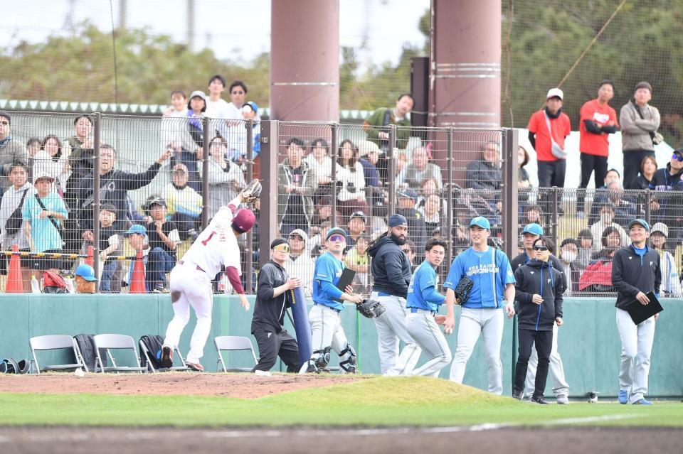 　３回、奈良間のファウルフライを三塁側のブルペンまで追いかけたが、惜しくも捕球できなかった宗山（１）＝撮影・開出牧