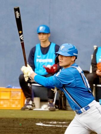 　９日の紅白戦で二塁打を放つ日本ハム・清宮