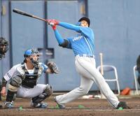 　３回、豪快に空振りする柴田（撮影・佐藤厚）