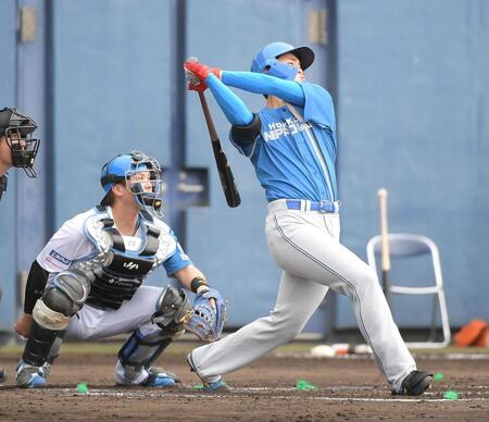 柴田の豪快大飛球に新庄監督ベタぼれ「すごくないですか?」「ピッチャーはいいかな(笑)」