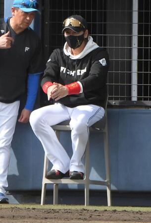 　６回、野村が左越えに２点適時二塁打を放ち、拍手する新庄監督（撮影・佐藤厚）