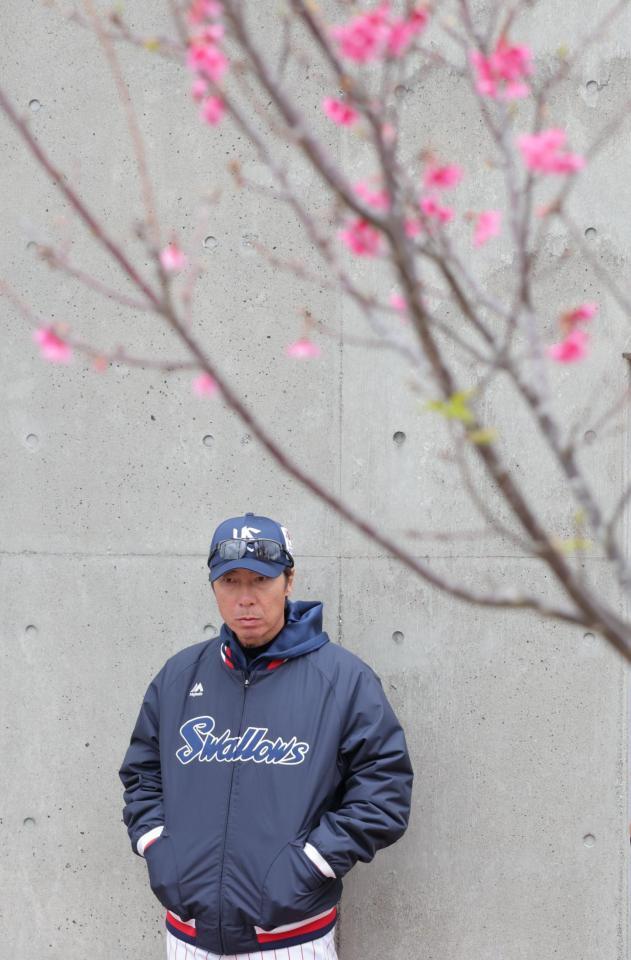 　寒緋桜が咲く下で、奥川のコンディショニング不良に表情を曇らせる高津監督（撮影・吉澤敬太）