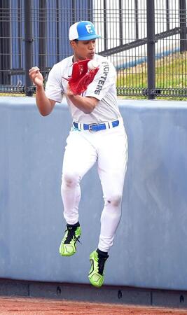 　フェンス際の打球処理を練習する万波（撮影・佐藤厚）