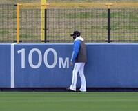 　外野フェンスをチェックする新庄監督（撮影・佐藤厚）