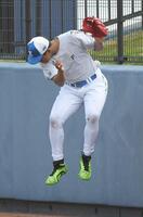 　フェンス際の打球処理を練習する万波（撮影・佐藤厚）