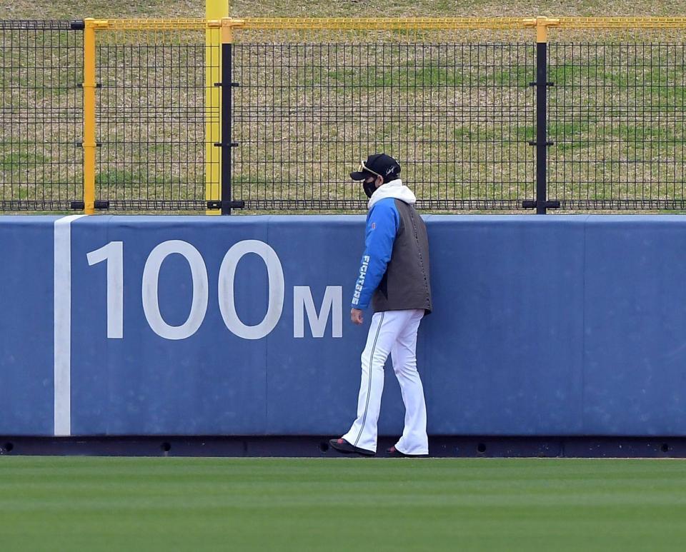 　外野フェンスをチェックする新庄監督（撮影・佐藤厚）