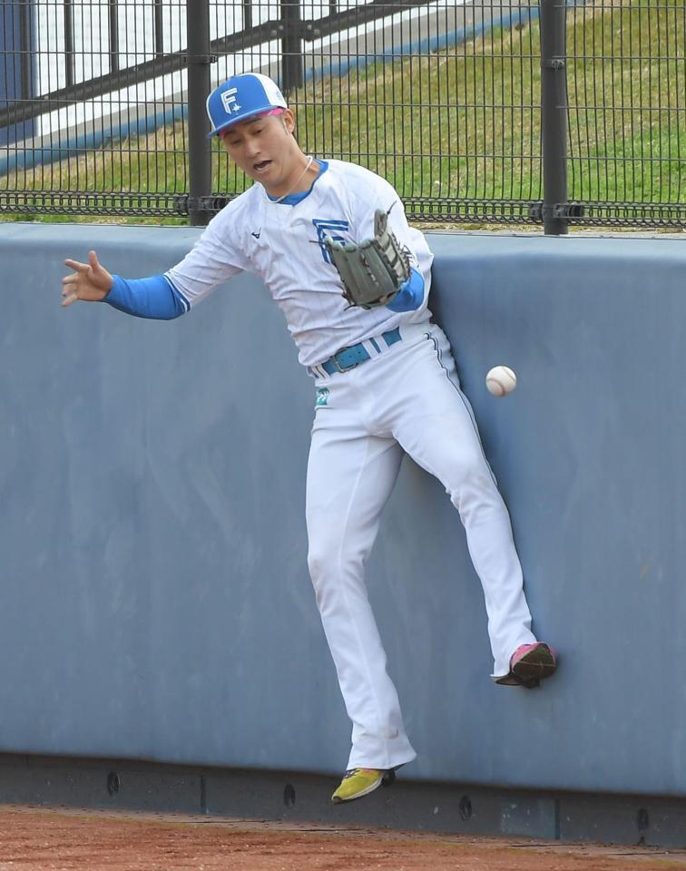 　フェンス際の打球処理を練習する浅間（撮影・佐藤厚）