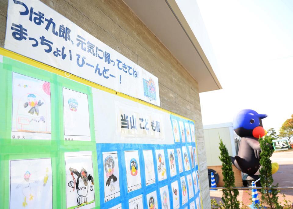 　球場の入口付近に並べられた、つば九郎の復帰を願う子どもたちが描いた絵（撮影・吉澤敬太）