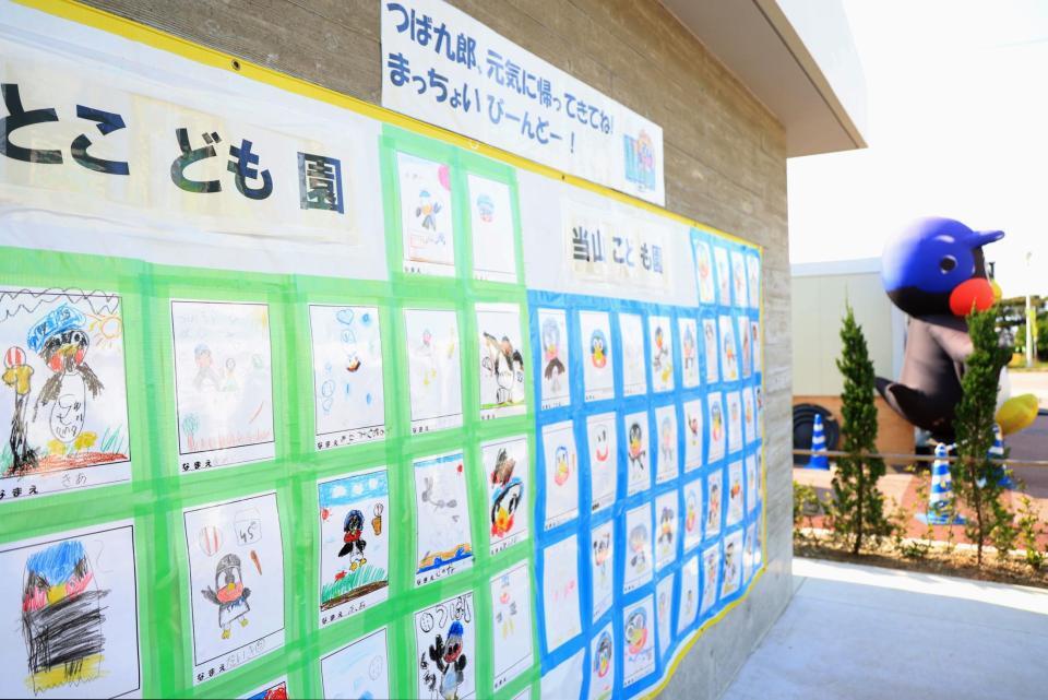 　球場の入口付近に並べられた、つば九郎の復帰を願う子どもたちが描いた絵（撮影・吉澤敬太）