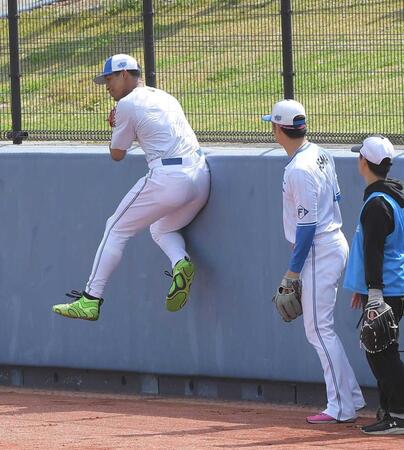 日本ハム　ケガ防止へフェンス際の捕球練習　前日試合で中日・樋口が緊急搬送
