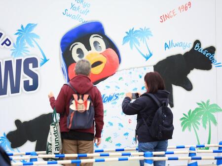 　キャンプ地のつば九郎の大きな写真を撮影するファン（撮影・吉澤敬太）