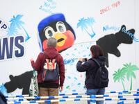 　キャンプ地のつば九郎の大きな写真を撮影するファン（撮影・吉澤敬太）