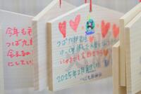 　キャンプ地のつば九郎神社には、つば九郎の復帰を願う多くの絵馬がかけられていた（撮影・吉澤敬太）