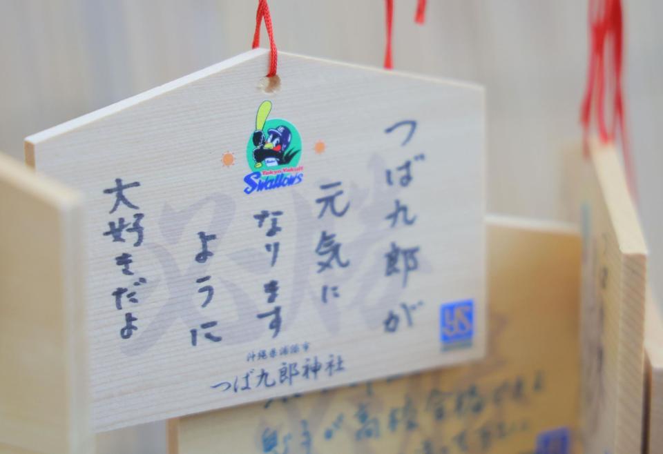 　キャンプ地のつば九郎神社には、つば九郎の復帰を願う多くの絵馬がかけられていた（撮影・吉澤敬太）