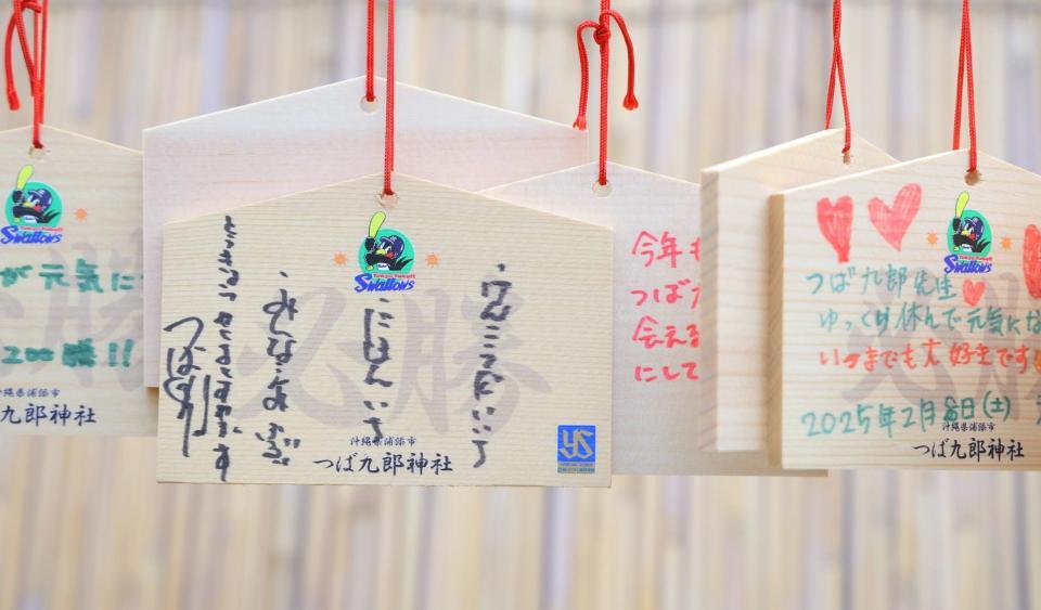 　キャンプ地のつば九郎神社に掲げられた、つば九郎が書いた絵馬（撮影・吉澤敬太）