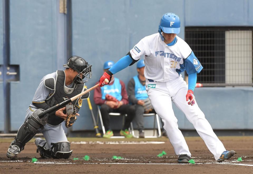 　１回、柴田は空振り三振に倒れる（撮影・佐藤厚）