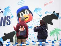 　キャンプ地のつば九郎の写真を撮影するファン