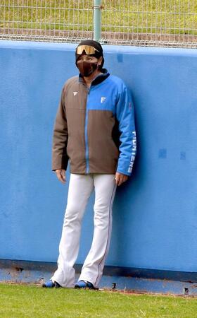 　外野フェンスをチェックする新庄監督（撮影・佐藤厚）