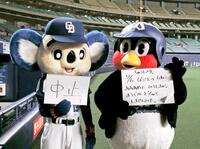 　用具が到着しなかったことを伝えるつば九郎（右）と試合中止を伝えるドアラ＝２０１８年７月