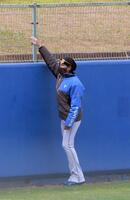 　外野フェンスをチェックする新庄監督（撮影・佐藤厚）